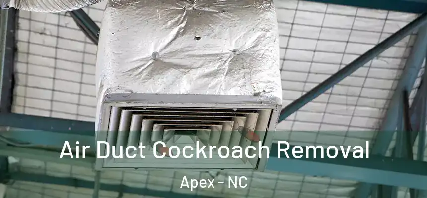  Air Duct Cockroach Removal Apex - NC
