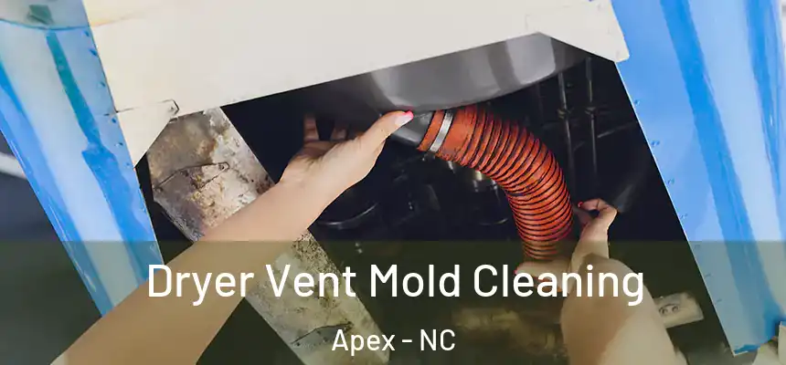  Dryer Vent Mold Cleaning Apex - NC