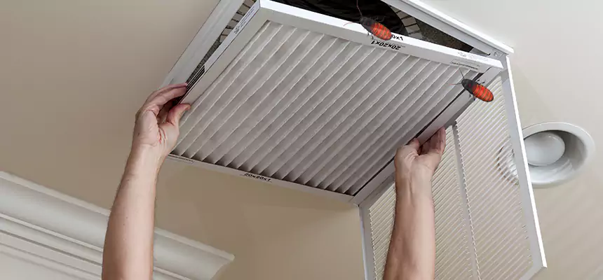 Preventive Cockroach-Proofing for Ducts in Apex