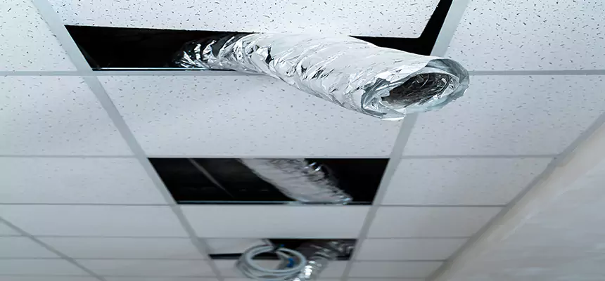 Our Air Duct Pet Hair Removal Services in Apex, NC