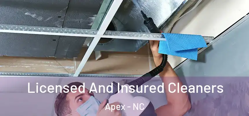  Licensed And Insured Cleaners Apex - NC