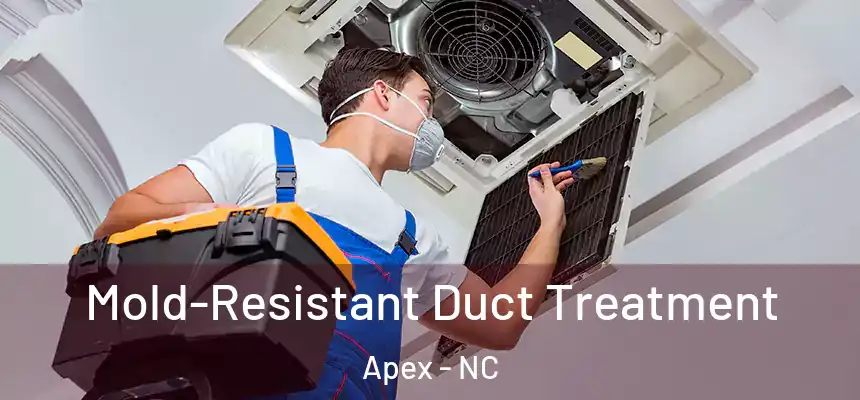  Mold-Resistant Duct Treatment Apex - NC