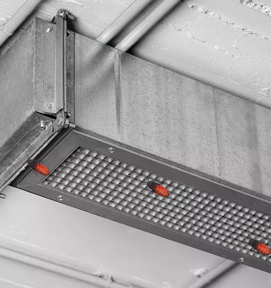 Affordable Insect Removal from Air Ducts in Apex, NC