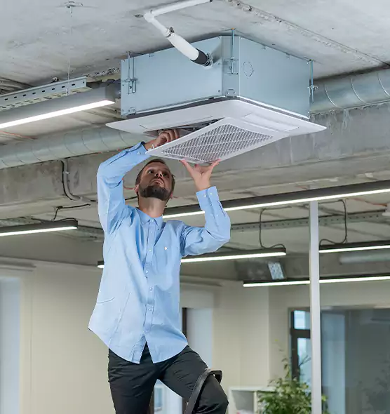 Advanced Rodent Droppings In Vents in Apex, NC