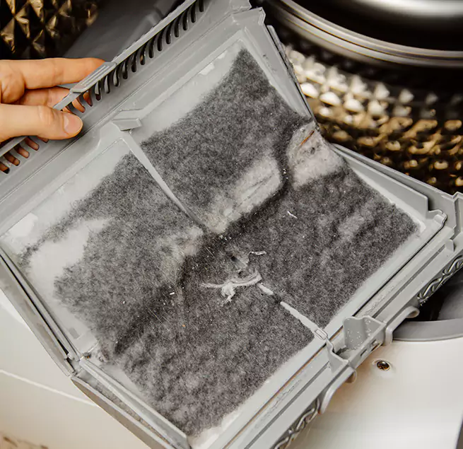  Why Homeowners & Businesses Trust Us Apex, NC?