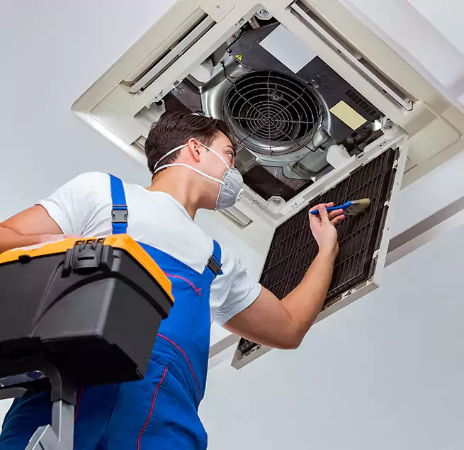 Why Homeowners & Businesses Trust Us in Apex, NC?